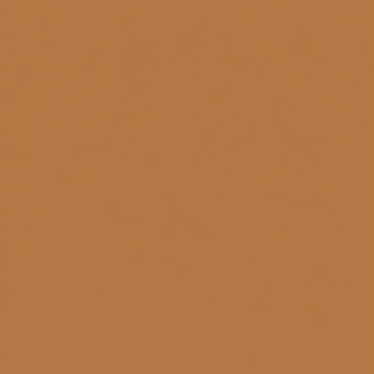 Sorellea Premium Skin Tint Stick