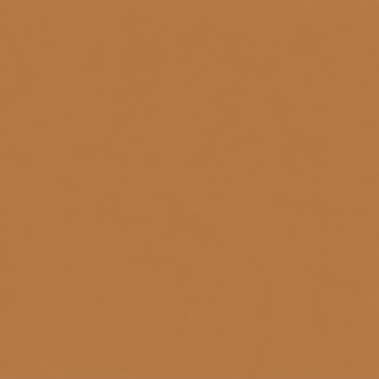 Sorellea Premium Skin Tint Stick