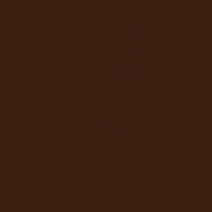 Sorellea Premium Skin Tint Stick