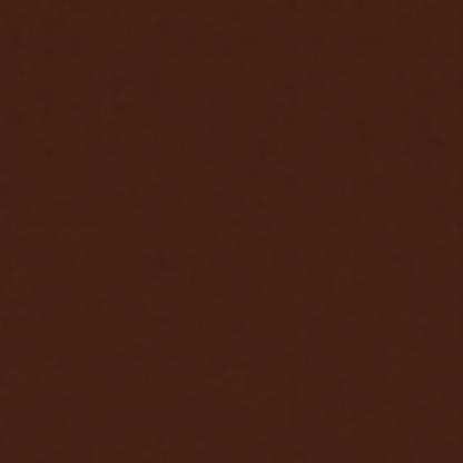 Sorellea Premium Skin Tint Stick