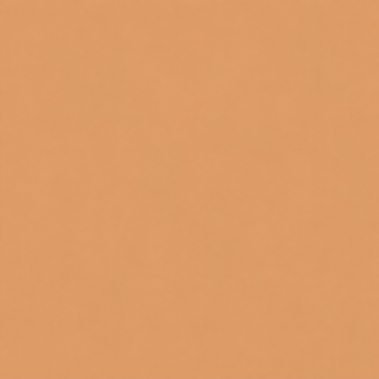 Sorellea Premium Skin Tint Stick