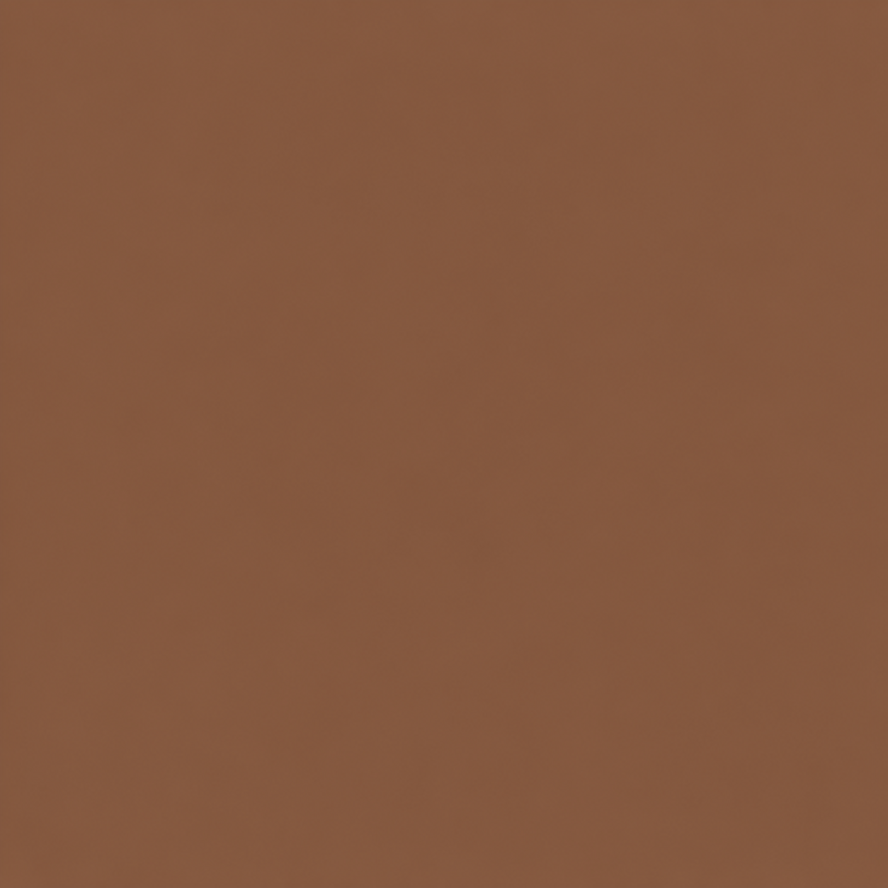Sorellea Premium Skin Tint Stick