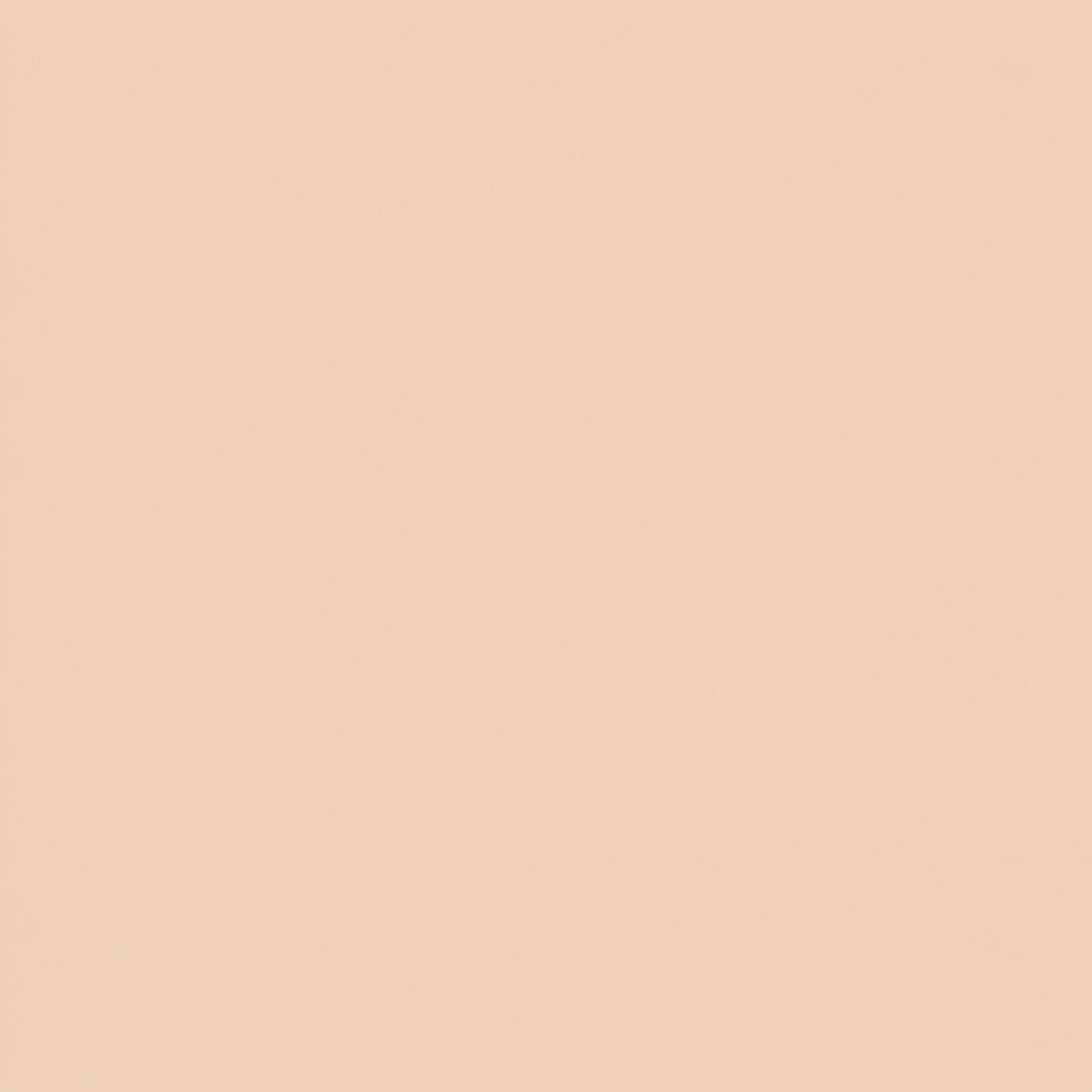 Sorellea Premium Skin Tint Stick